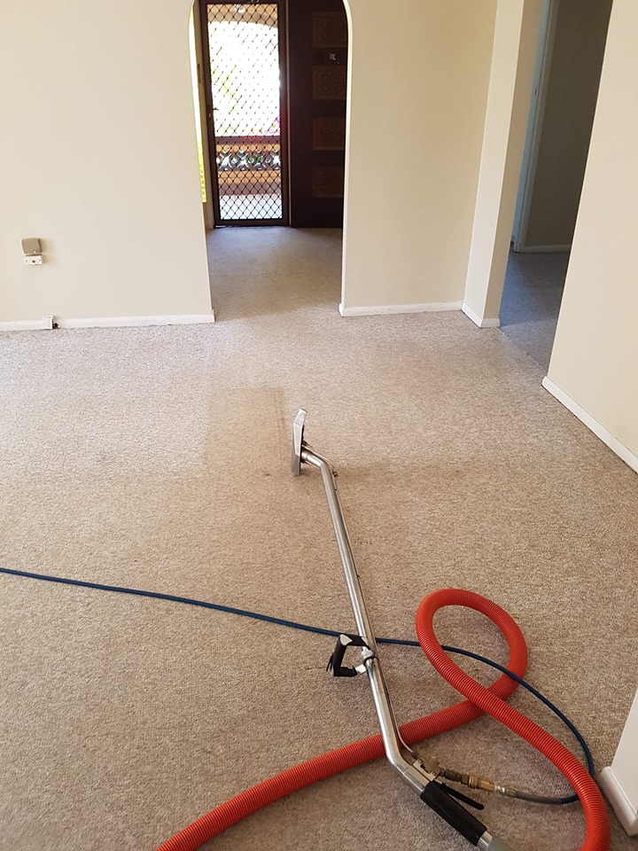 Hallway carpet with a clean stripe down the middle and the cleaning wand resting on it