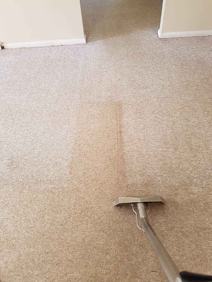 Beige carpet showing a clean pass beside an uncleaned section