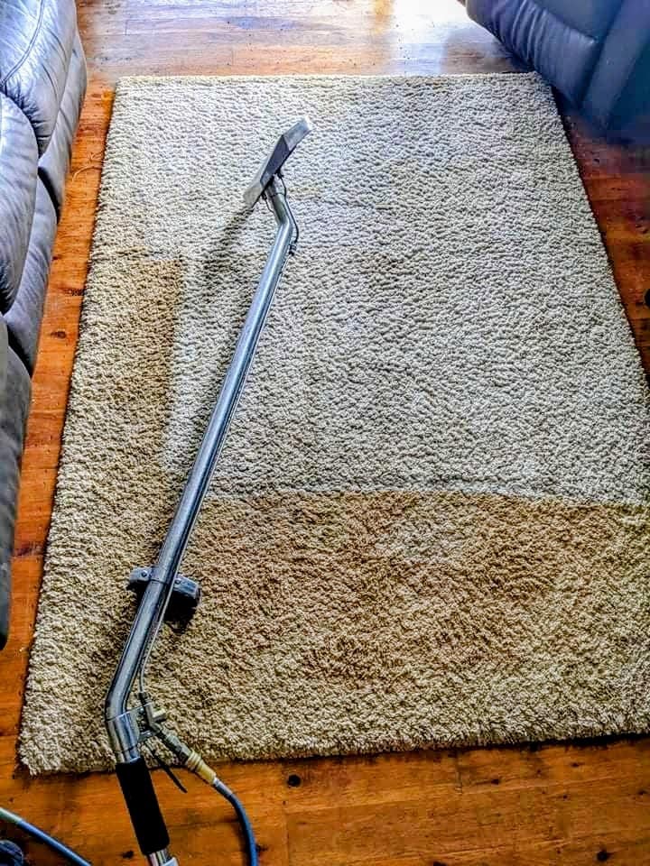 Shaggy rug beside a blue leather lounge, one half cleaned and one half not